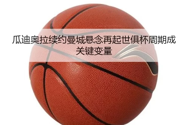 img_1781069556967_980_1_536.jpg